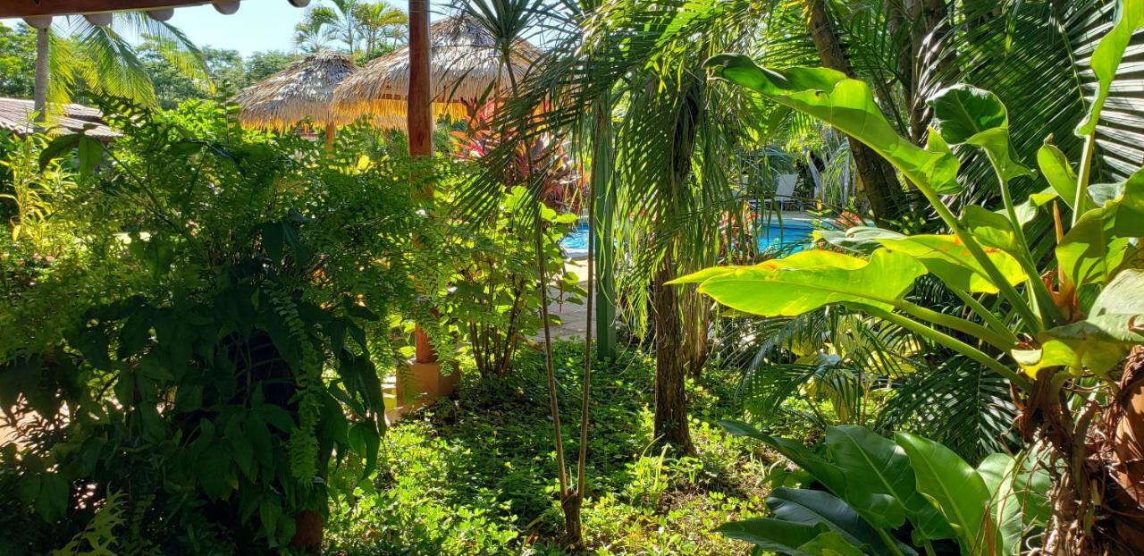 Guacamaya Lodge Paraíso Exterior foto